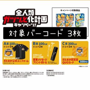 懸賞応募 赤城乳業 全人類ガツン、と化計画キャンペーン ガツンとみかん 対象バーコード3枚