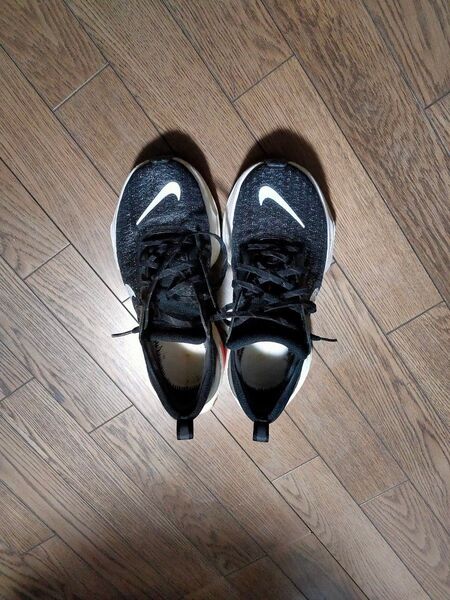 中古 NIKE インヴィンシブルラン3 25cm