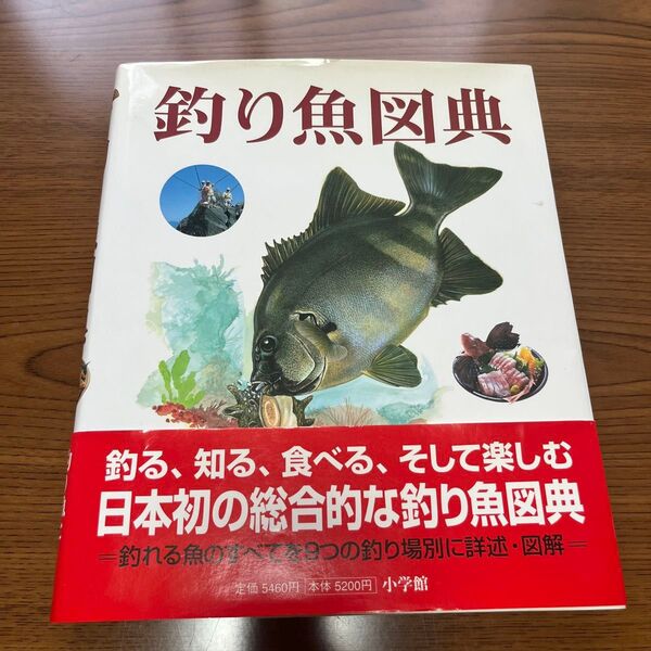 釣り魚図典 小学館