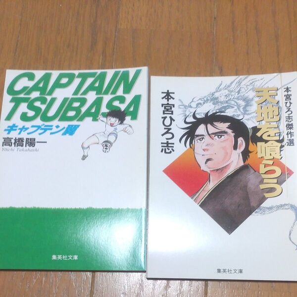 キャプテン翼 天地を喰らう 漫画 文庫本