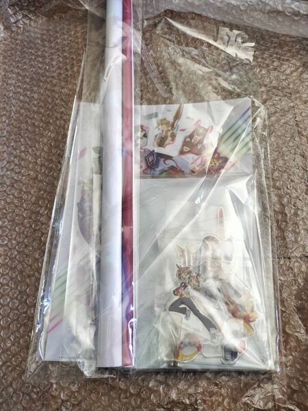 Switch 新品 カルドアンシェル Card-en-Ciel 予約特典