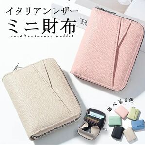 ラスト1点!!【お札を折らずに収納出来る!】ミニ財布 コインケース カードケース 家計簿財布 買い物財布 ミニウォレット