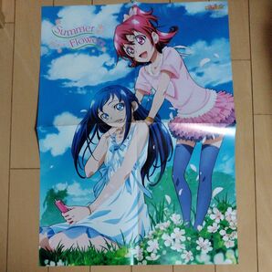 【アニメージュ2013年9月号第2ふろくのみ】ドキドキ!プリキュアSummer Flowersポスター