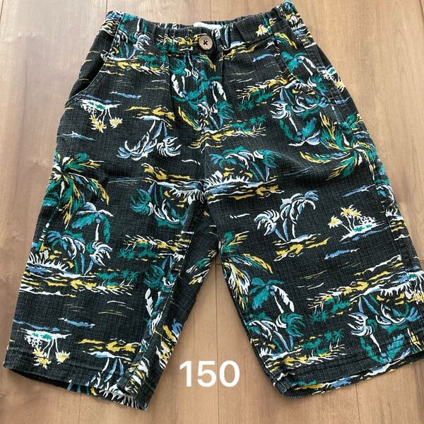 ハーフパンツ 150 やしの木 柄パンツ
