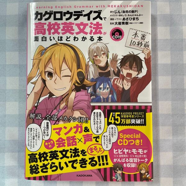 「カゲロウデイズ」で高校英文法が面白いほどわかる本