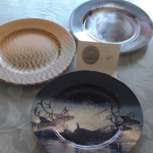 希少 TRIBUTE21 PLATE 陶器皿 絵皿3枚セット マデレイン・ゲリック 星野道夫 岩合光昭