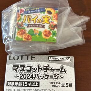 LOTTE マスコットチャーム 2024パッケージ パイの実