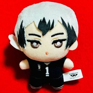 ハイキュー サンリオ ちみっともぬい vol.3 シナモロール 北信介 ぬいぐるみ マスコット