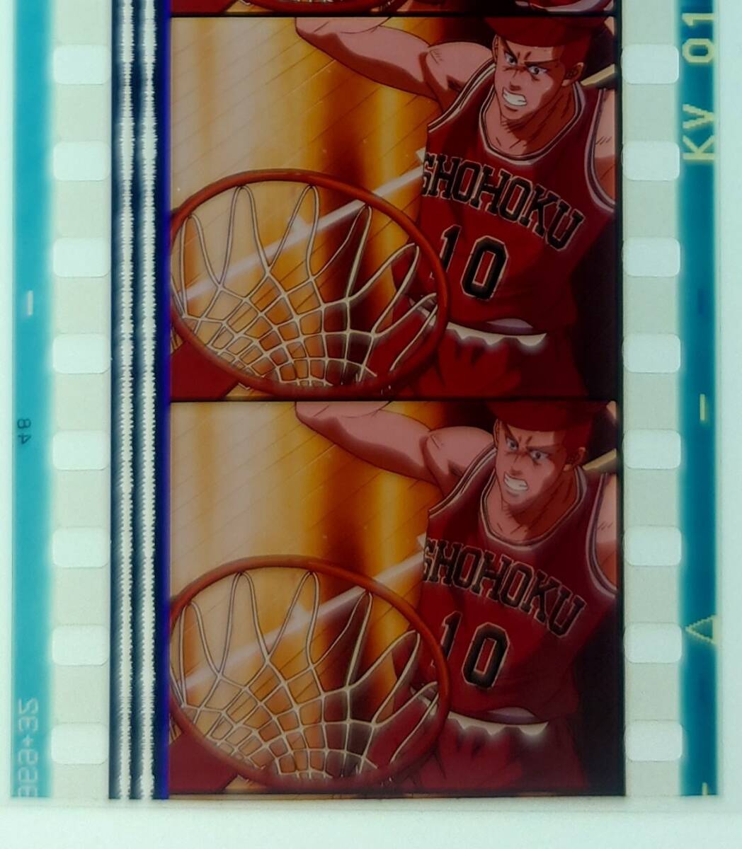 2025年最新】Yahoo!オークション -slam dunk 画(セル画)の中古品 2025年最新】Yahoo!オークション -slam dunk 画(セル画)の中古品