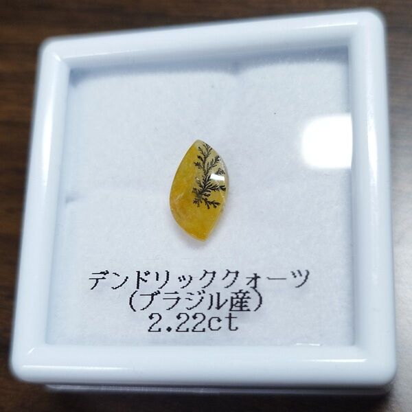 デンドリッククォーツ 2.22ct ルース ブラジル産