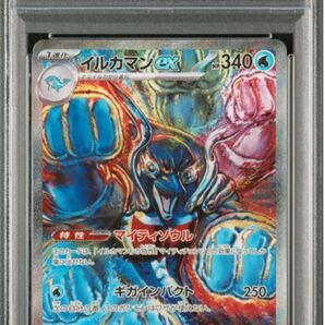 イルカマン sar psa10 1枚