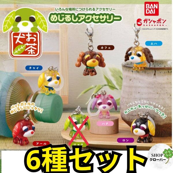 【6種セット】 お茶犬 めじるしアクセサリー グッズ