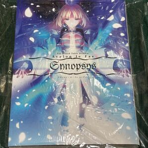 未開封 Avalon le Fae Synopsys 奈須きのこ 竹箒