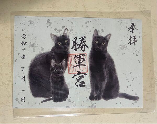 御朱印 東京駒込 妙義神社