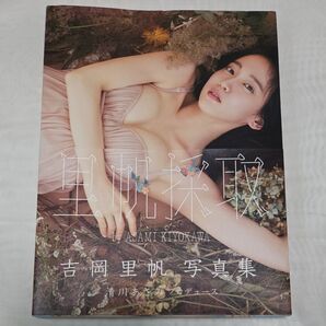 里帆採取 吉岡里帆写真集