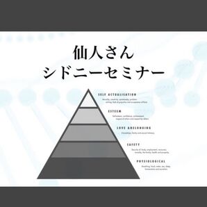■Mr.X■シドニーセミナー完全版■仙人さん■音声MP3/書き起こしPDF■Mr.X ステージ理論■発達心理学・マズローの融合■