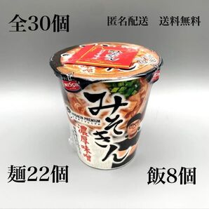 みそきん HIKAKIN PREMIUM ヒカキン メシ ラーメン 日清食品
