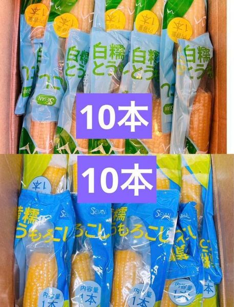 白糯とうもろこし軸付き 粘玉米 白玉米 10本 黄糯とうもろこし もち黄玉米 10本