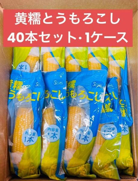 もちもち黄糯玉米 黄糯とうもろこし 真空パック 黄玉米 黏玉米 トウモロコシ 40本(1ケース)