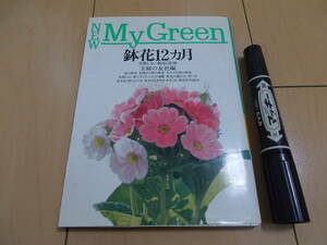 NEW MyGreen flower pot 12. month 