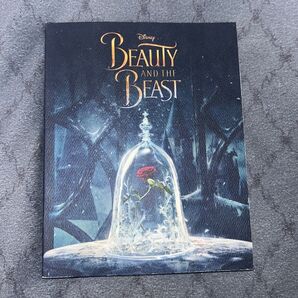 Disney Beauty and the Beast 洋書