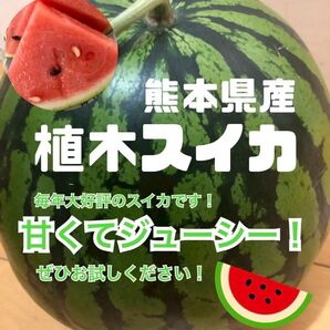 熊本産(産地直送)美味しいスイカLサイズUP 1玉(送料無料)
