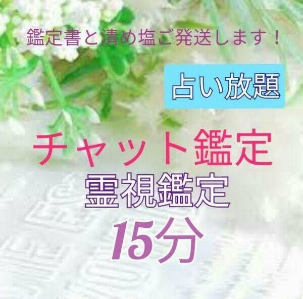 (19:00-22:30対応)占い放題 15分間 チャット鑑定占い 霊視鑑定 鑑定書・発送