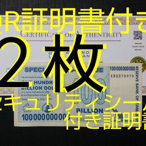 2枚【QR証明書付】1000億スペシャルアグロチェック ジンバブエドル 100BILLION