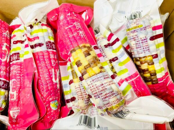 賞味期限更新★新入荷♪彩糯とうもろこし軸付き【40本入り・1ケース】真空パック もち糯玉米棒