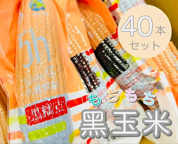 賞味期限更新★新入荷♪常温便【黒糯とうもろこし40本入り1ケース】もち糯玉米棒 軸付き真空パック