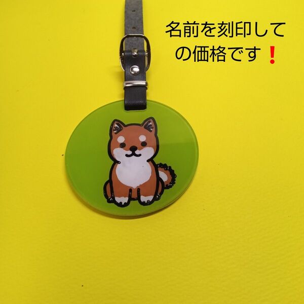 柴犬ネームプレートネームタグゴルフ