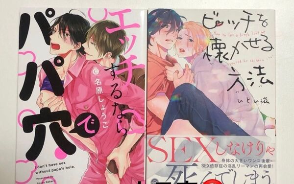 エッチするならパパ穴で/名原しょうこ ビッチを懐かせる方法/いとい滋
