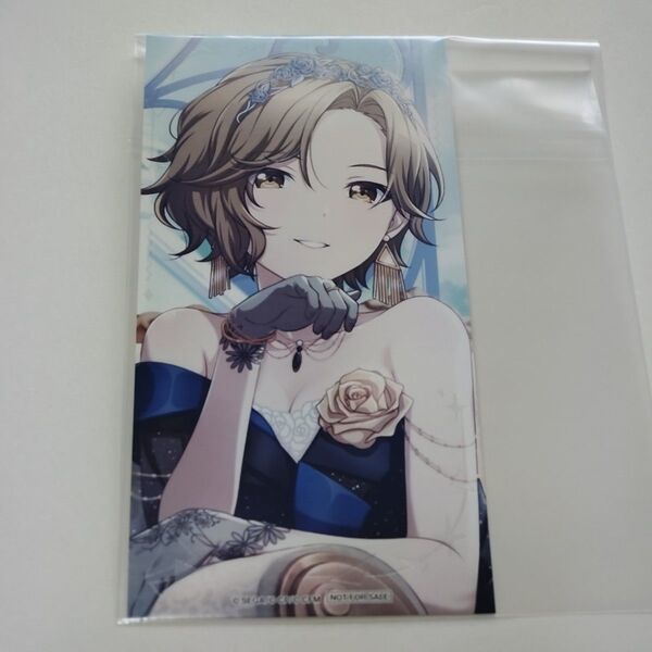 プロセカ MEIKO アニメイト購入特典イラストカード