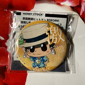 REBORN 激推し缶バッジコレクション vol.3 リボーン