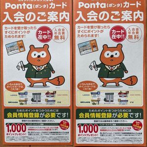 2枚未登録新品 ポンタカード Pontaカード ポンタ 可愛いポンタ ポイントカード