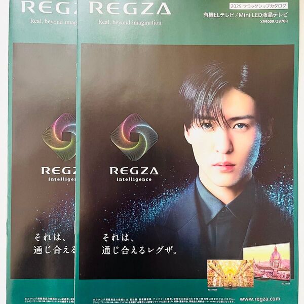 目黒蓮 REGZA 最新カタログ パンフレット2冊