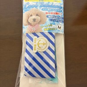 ペット用 クールバンダナ M ブルー ポンポリース お散歩 熱中症対策