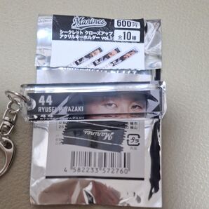 千葉ロッテマリーンズ 宮崎 竜成