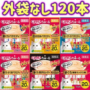 【6種類 外袋なし120本】ちゅーる ciaoちゅ〜る ちゃおちゅーる チャオチュール ちゅーる
