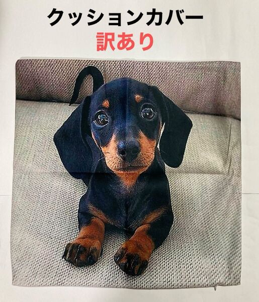 クッションカバー ダックスフンド【訳あり】