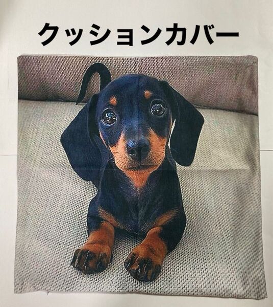 犬柄クッションカバー ダックスフンド ブラックタン 両面プリント