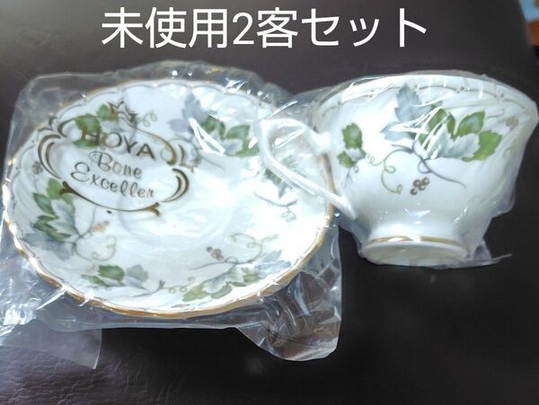 HOYA Bone Exceller カップ&ソーサー金彩2客セット 未使用