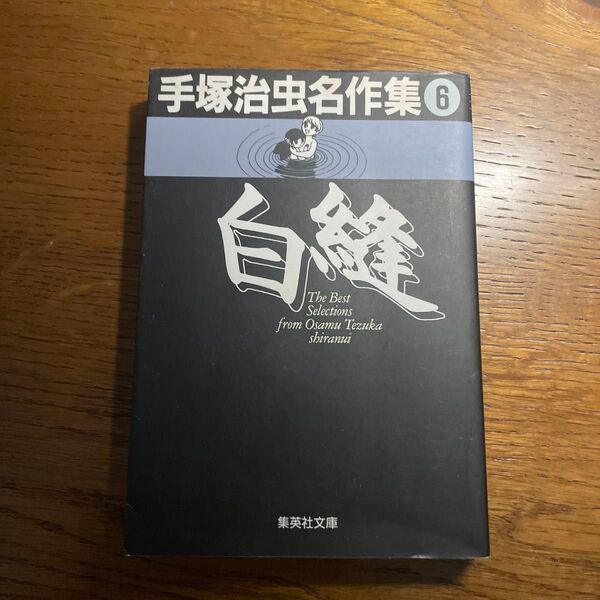 手塚治虫名作集 6 (集英社文庫) 手塚治虫/著