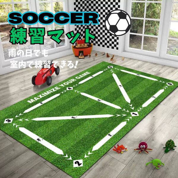 サッカー フットサル トレーニング マット 室内 練習 ドリブル 自主練 速乾性