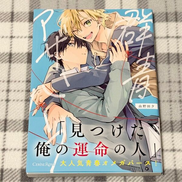 群青アザーハーフ/由野田夕