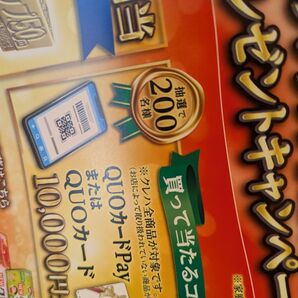 レシート懸賞応募 QUOカード1万円分当たるレシート2口分