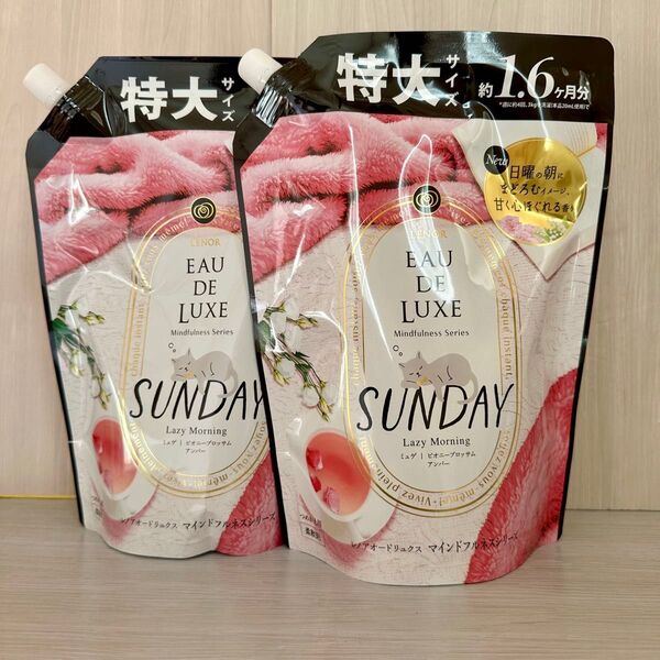 レノア オードリュクス マインドフルネスシリーズ サンデー Lazy Morning 詰替 600ml 2個セット