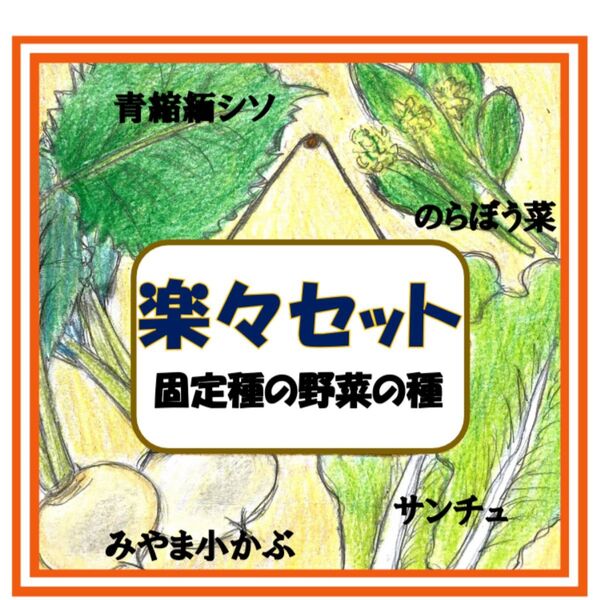 楽々セット 固定種の野菜の種4点 家庭菜園 初心者向け