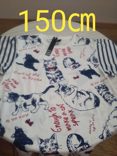 新品タグ付 可愛い猫柄のTシャツ