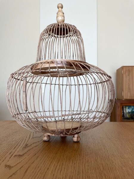 ビンテージ鳥籠 花籠 フラワー ガーデニング スチール製 置き物 インテリア アンティーク風 オブジェ ディスプレイ
